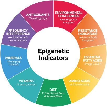 epigenetic indicators
